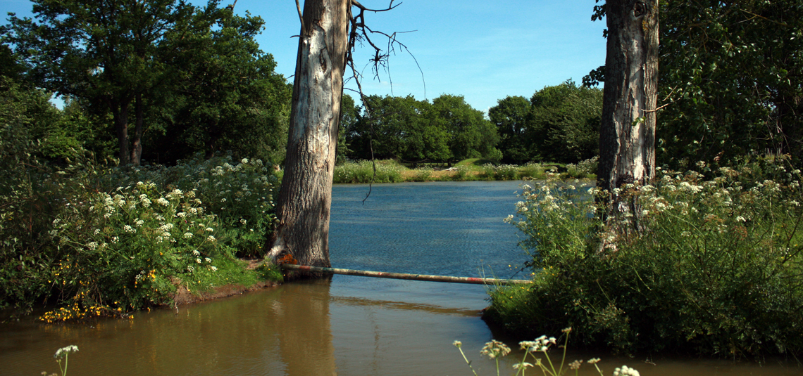 Le terrain de cross avec l'étang