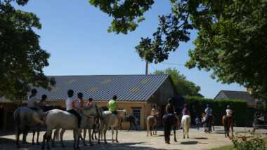 Stages d&rsquo;été