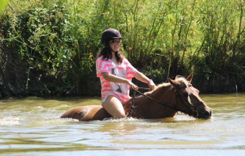 L’été au Shamrock les enfants se baignent avec les poneys !