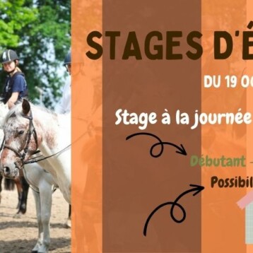 Stages d&rsquo;équitation