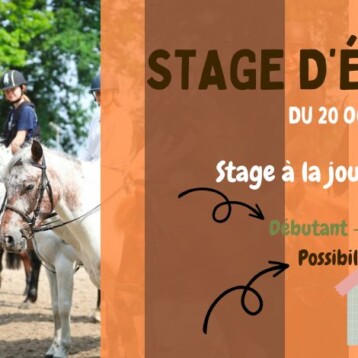 Stages des vacances de la Toussaint