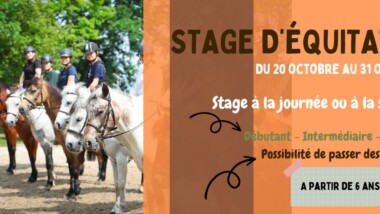 Stages des vacances de la Toussaint