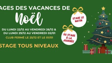 Stages d’équitation