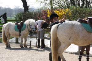 stages poney petites vacances