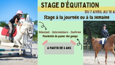 Stages d’équitation : vacances d’avril