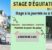 Stages d’équitation : vacances d’avril