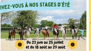 Stages d’été